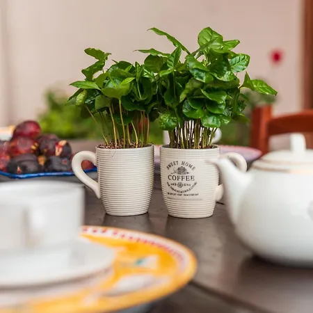 Antico Convento - Ospitalita Diffusa